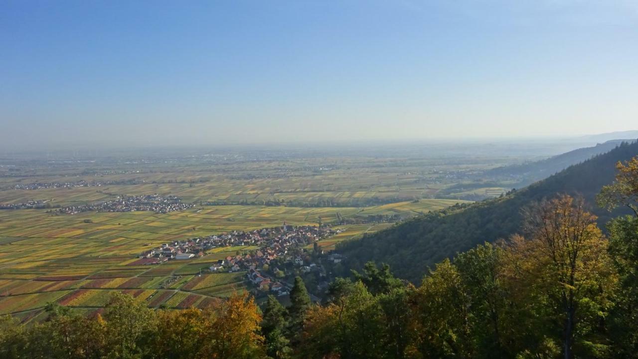 Accommodatie bij particulieren Gaestehaus Moni Jaeger